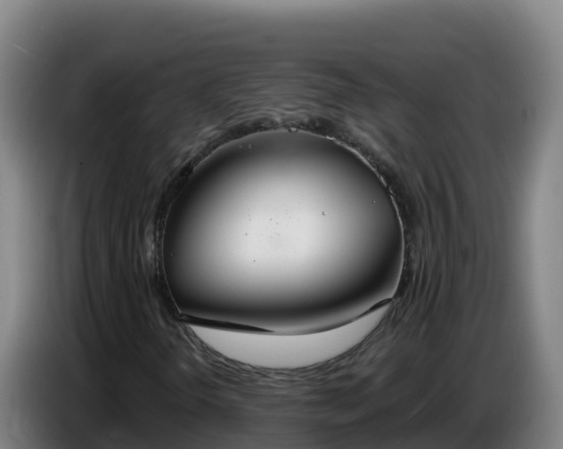 X0000086751298200704201717