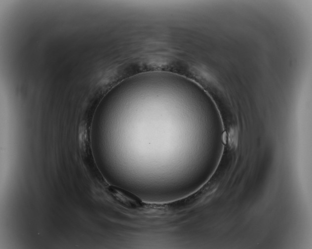 X0000086751299200704201717