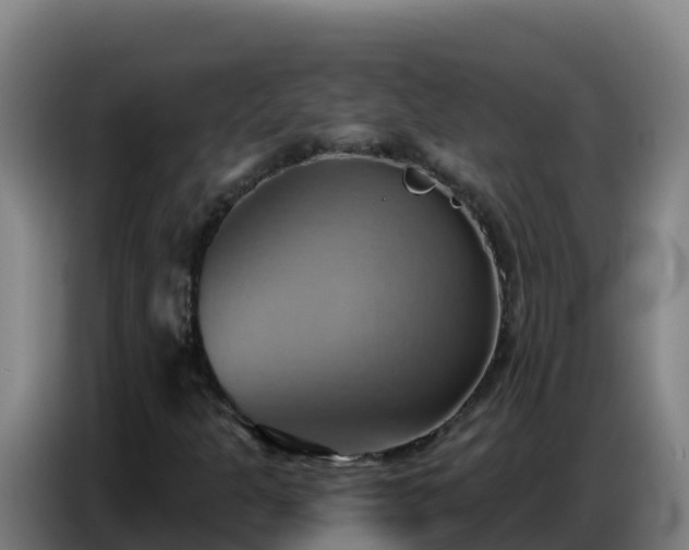 X0000086751301200704201717