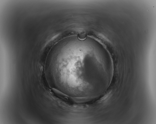 X0000086751302200704201717