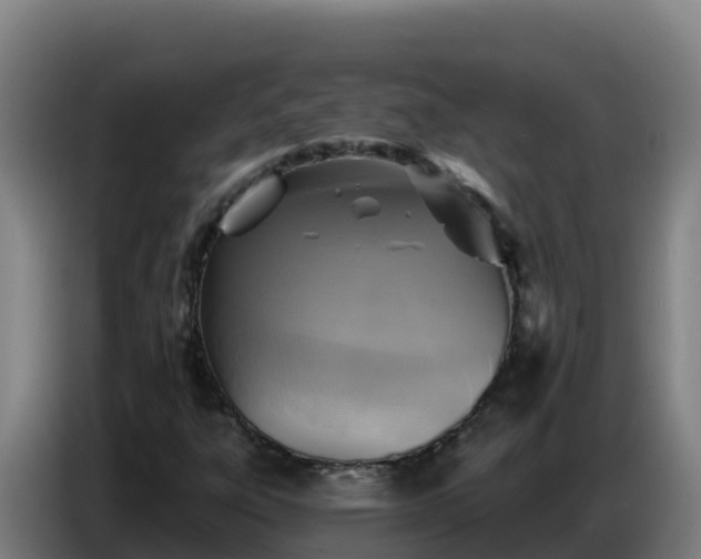 X0000086751303200704201717