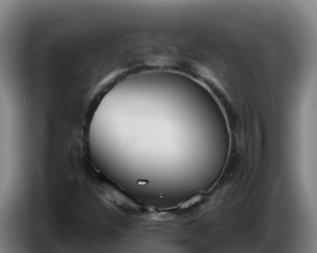 X0000086751304200704201717