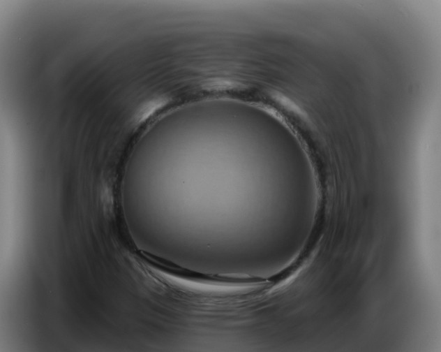 X0000086751305200704201717