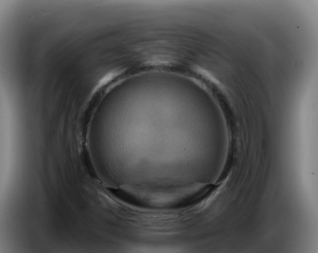 X0000086751306200704201717