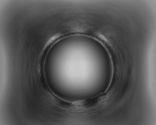 X0000086751307200704201717