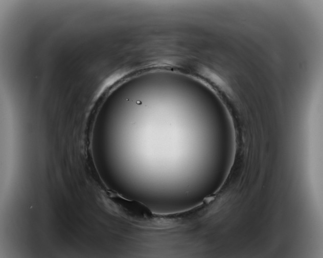 X0000086751308200704201717