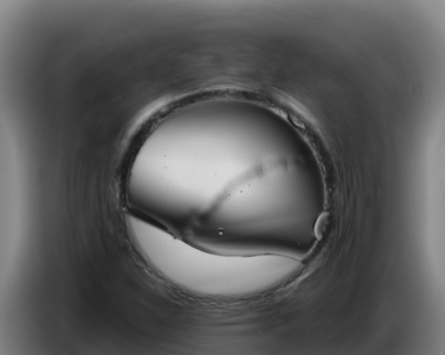 X0000086751310200704201717