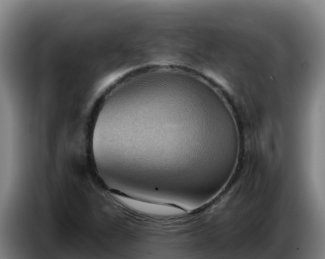 X0000086751311200704201717