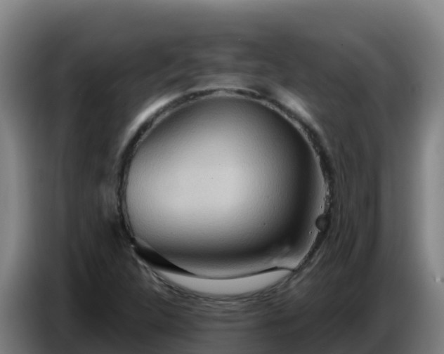 X0000086751312200704201717