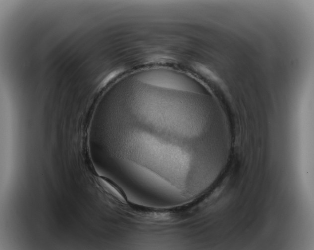 X0000086751313200704201717