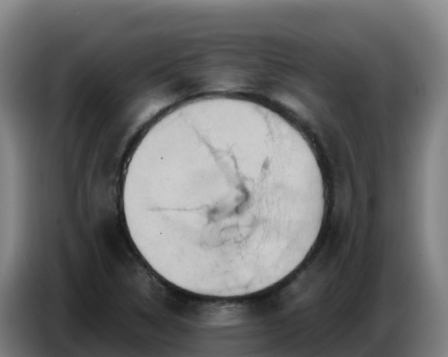 X0000086751314200704201717