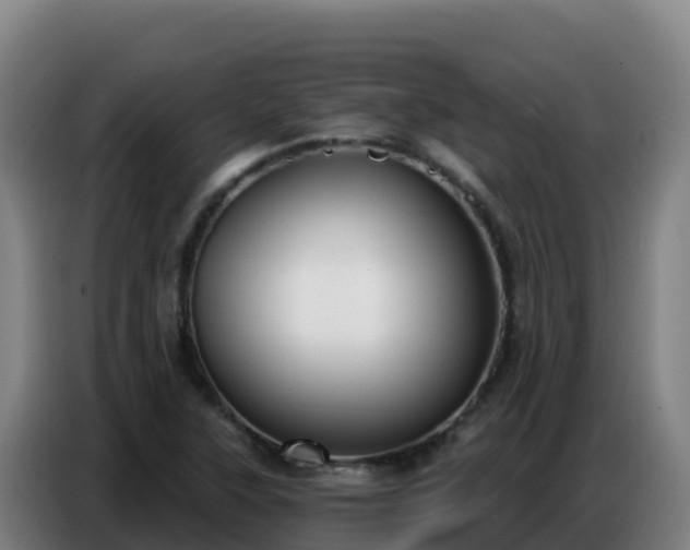 X0000086751315200704201717