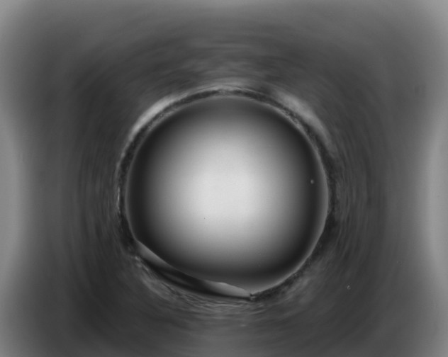 X0000086751316200704201717