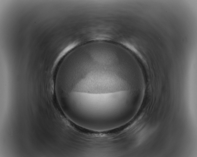 X0000086751317200704201717