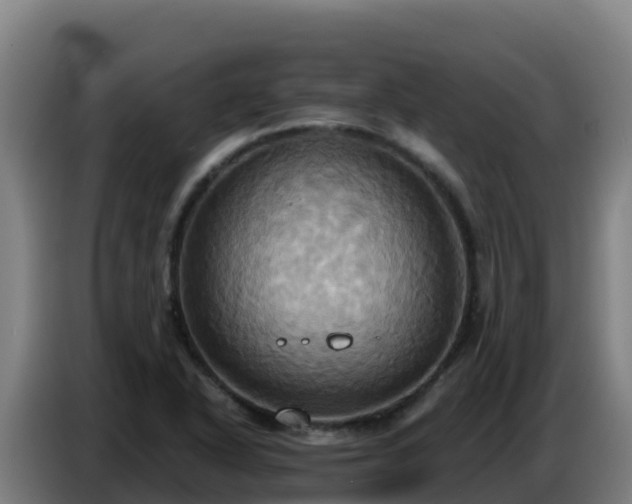 X0000086751318200704201717