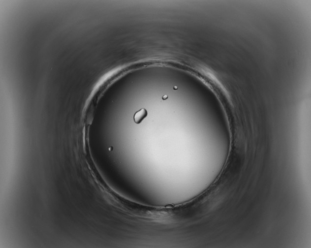 X0000086751320200704201717