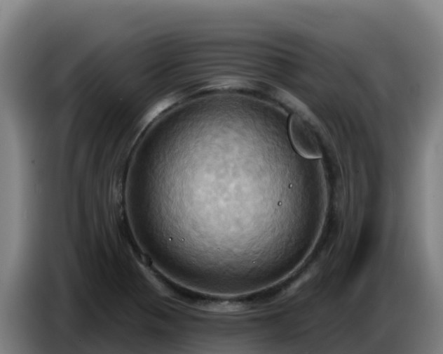 X0000086751321200704201717