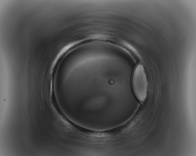 X0000086751323200704201717