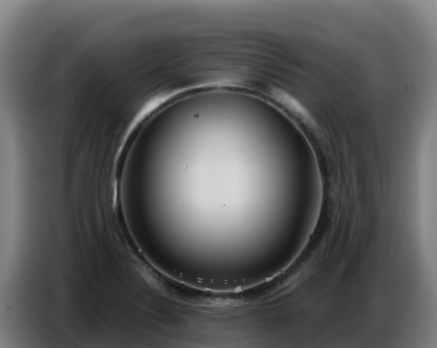 X0000086751324200704201717