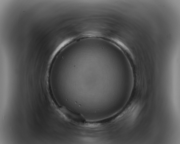 X0000086751325200704201717
