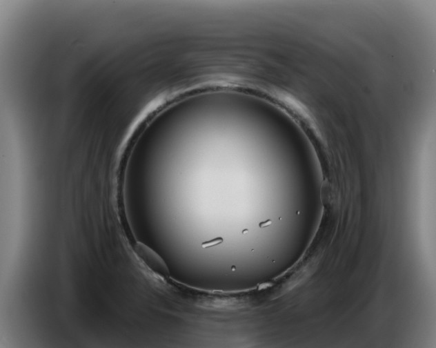 X0000086751326200704201718