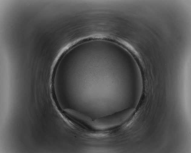X0000086751327200704201718