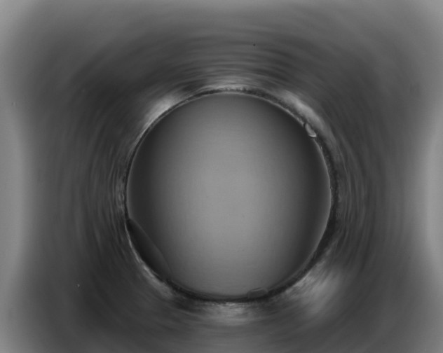 X0000086751329200704201718