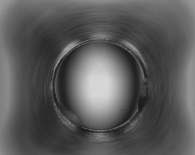 X0000086751330200704201718
