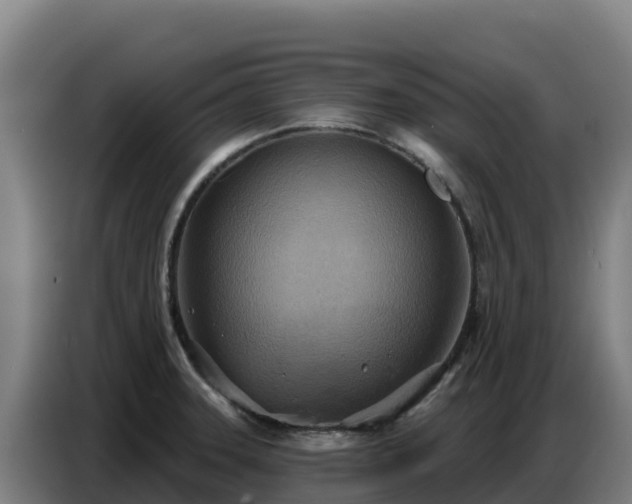X0000086751331200704201718