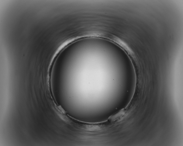 X0000086751332200704201718