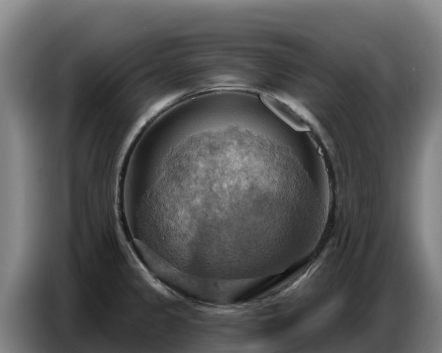 X0000086751333200704201718