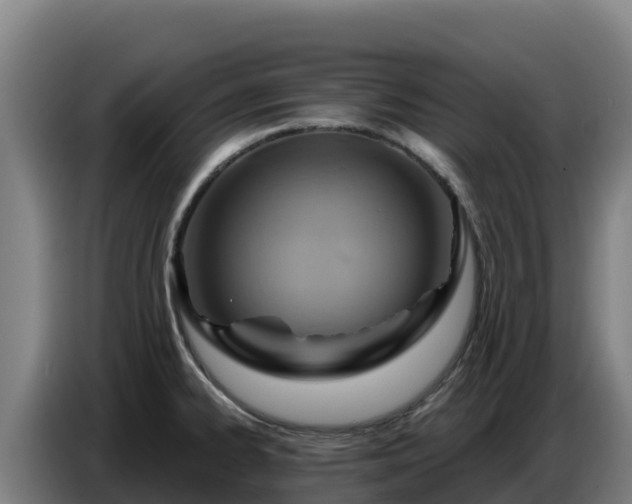 X0000086751334200704201718