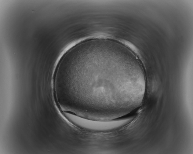 X0000086751335200704201718