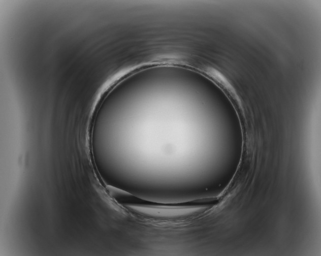 X0000086751336200704201718
