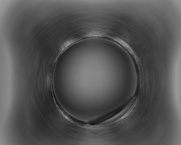 X0000086751337200704201718