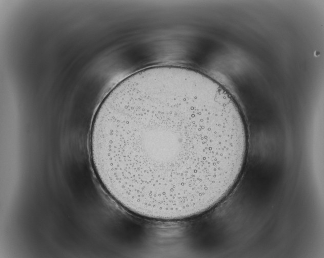 X0000086751338200704201718