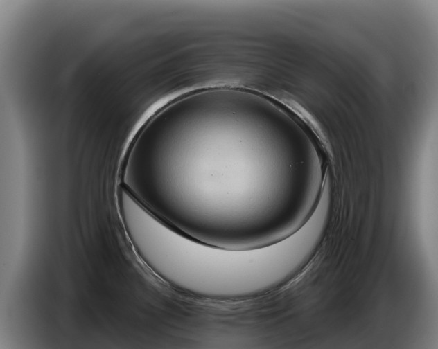 X0000086751340200704201718
