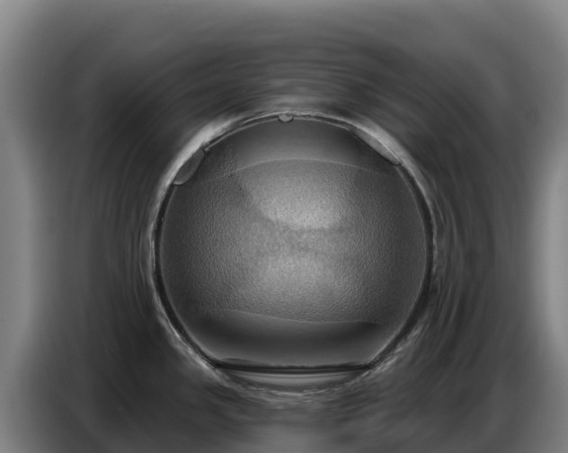 X0000086751341200704201718