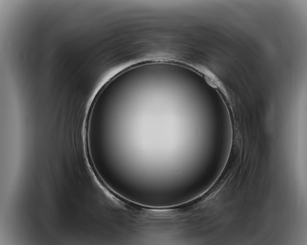 X0000086751343200704201718