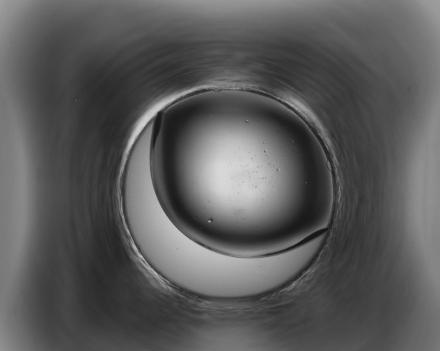 X0000086751344200704201718