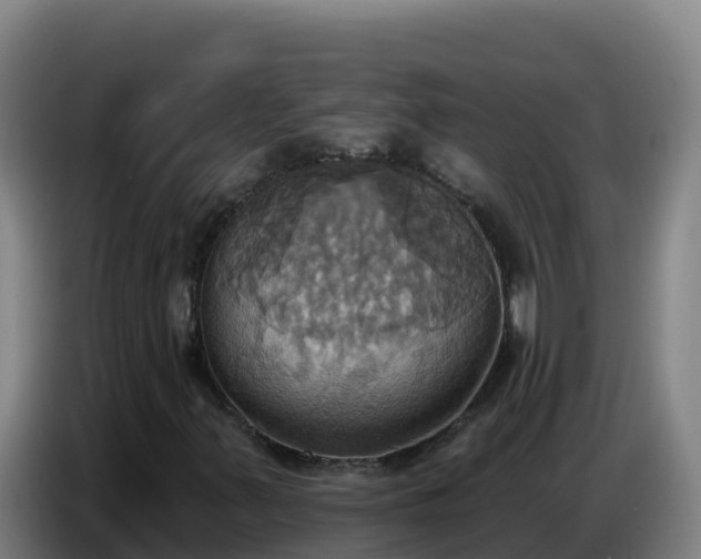X0000086751347200704201717