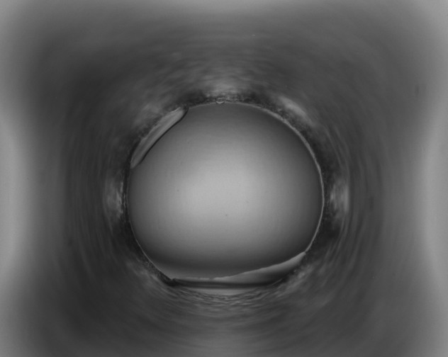 X0000086751348200704201717