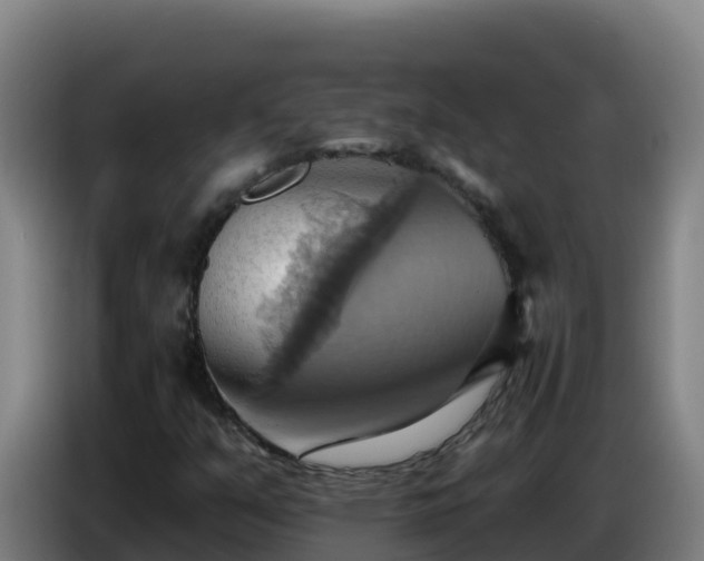 X0000086751351200704201717