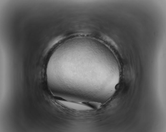 X0000086751352200704201717