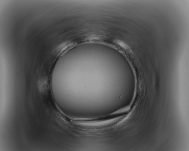 X0000086751353200704201717