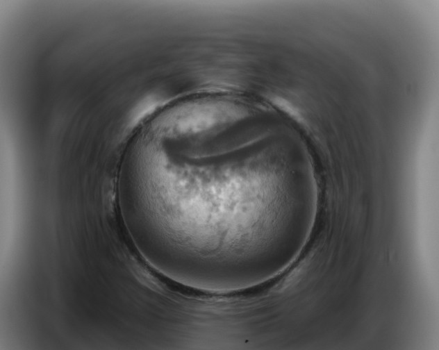 X0000086751355200704201717