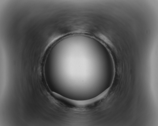 X0000086751356200704201717