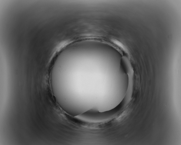 X0000086751357200704201717