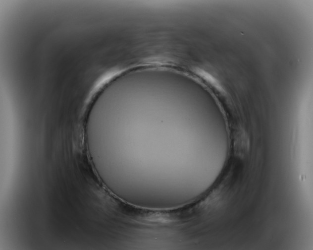 X0000086751358200704201717