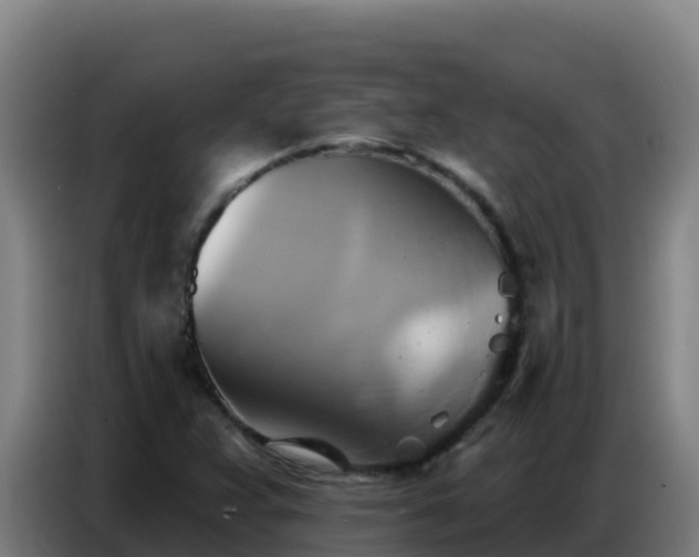 X0000086751359200704201717